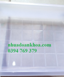 Khay thạch dừa lớn trong